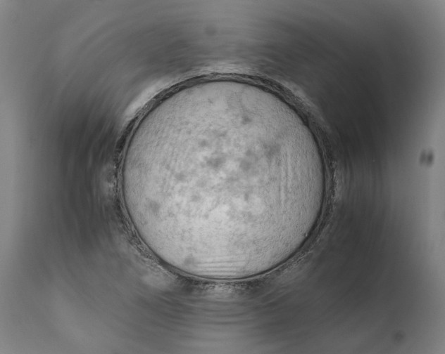 X0000111601266200908061405