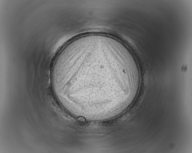 X0000111601267200908061405