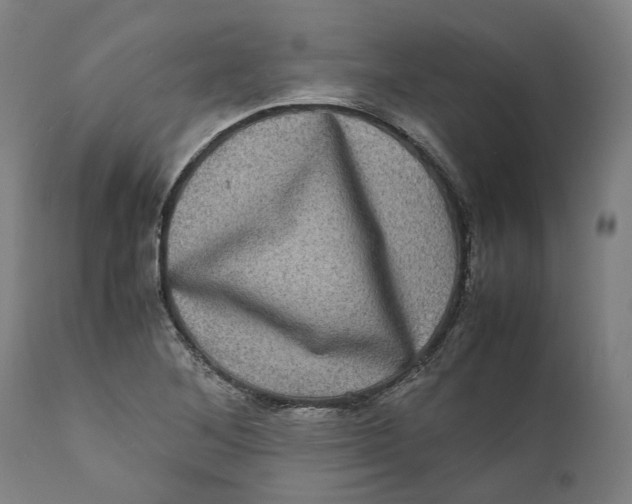 X0000111601268200908061405
