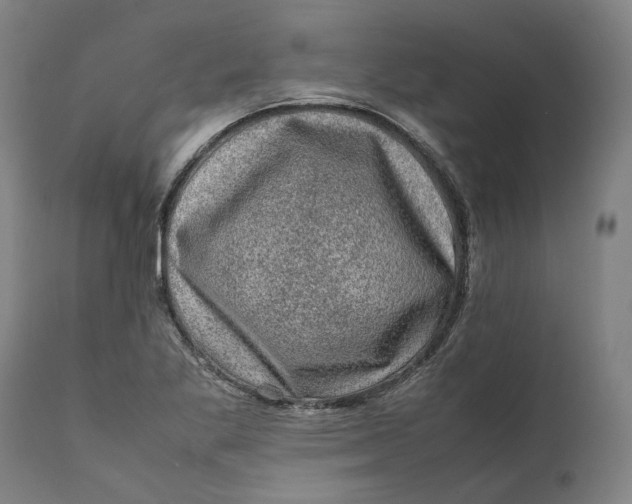 X0000111601269200908061405