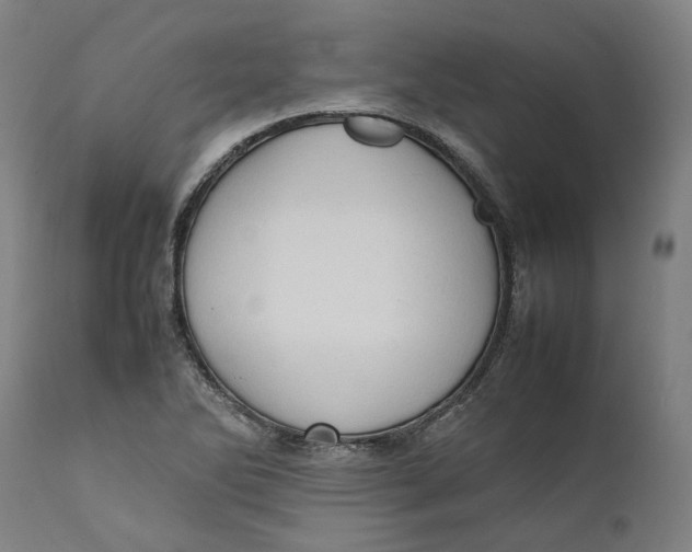 X0000111601270200908061405