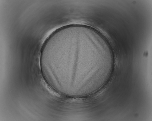 X0000111601272200908061405