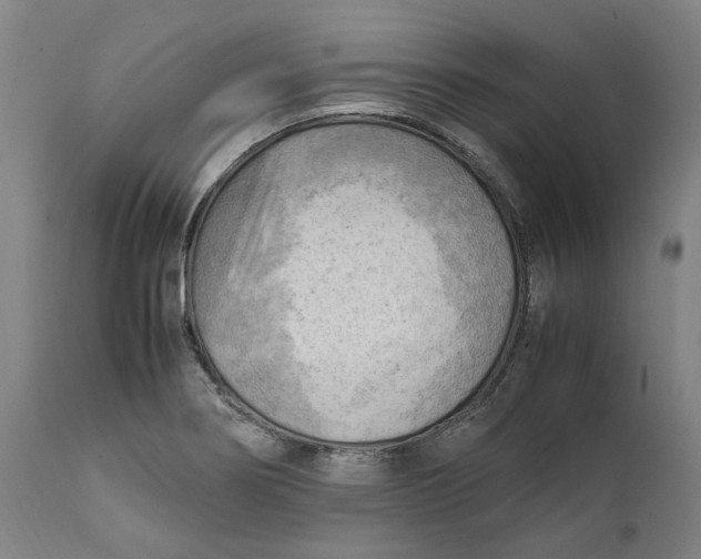 X0000111601274200908061405