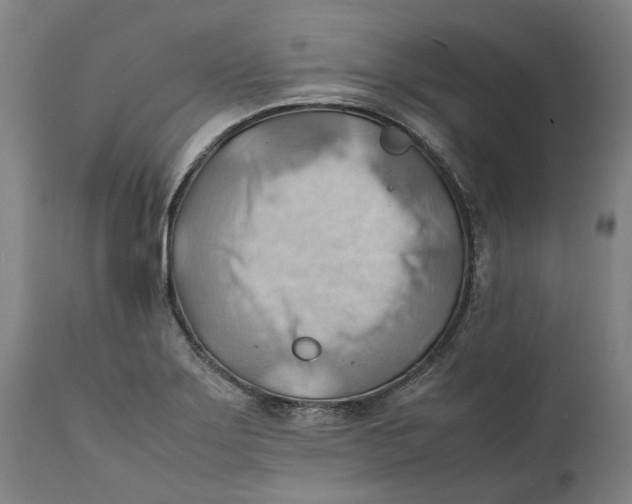 X0000111601275200908061405