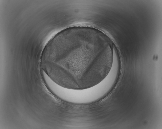 X0000111601277200908061405