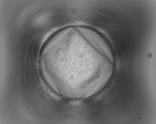 X0000111601278200908061405