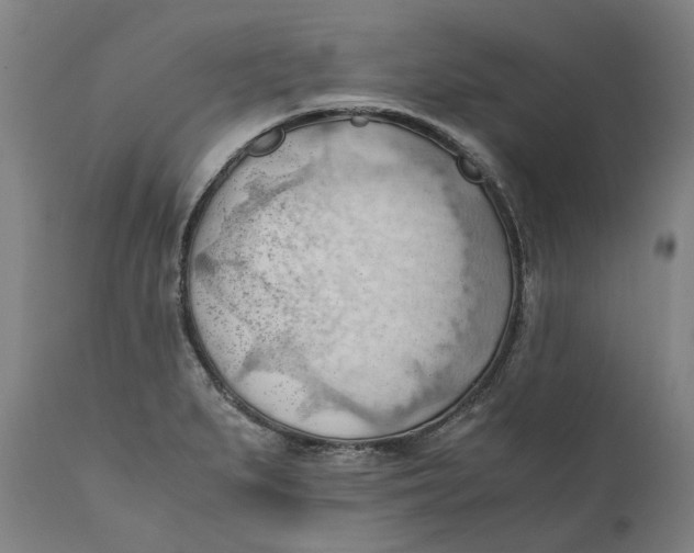 X0000111601279200908061405
