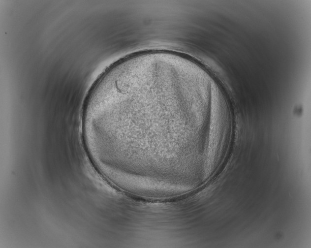 X0000111601280200908061405
