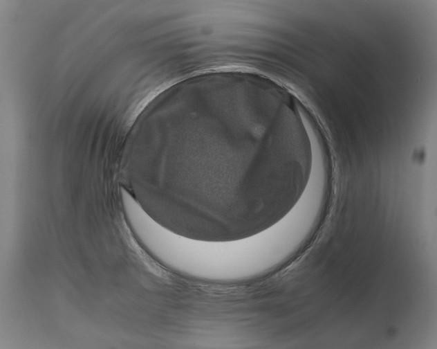 X0000111601281200908061405