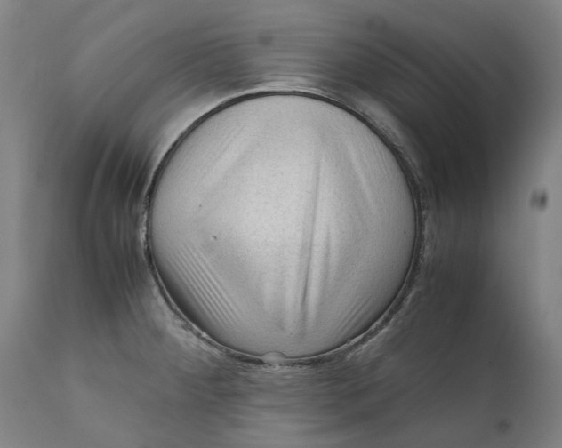 X0000111601284200908061405