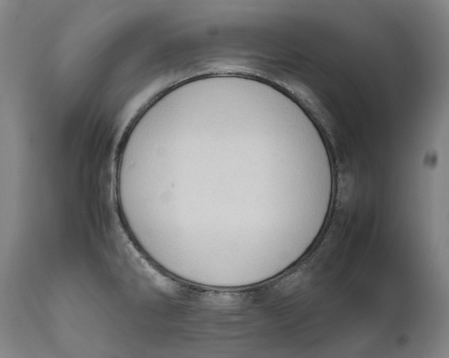 X0000111601286200908061405