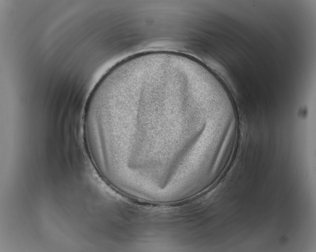 X0000111601288200908061405
