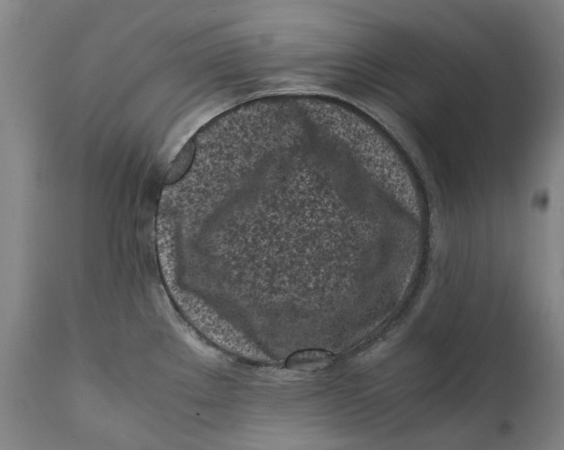 X0000111601289200908061405