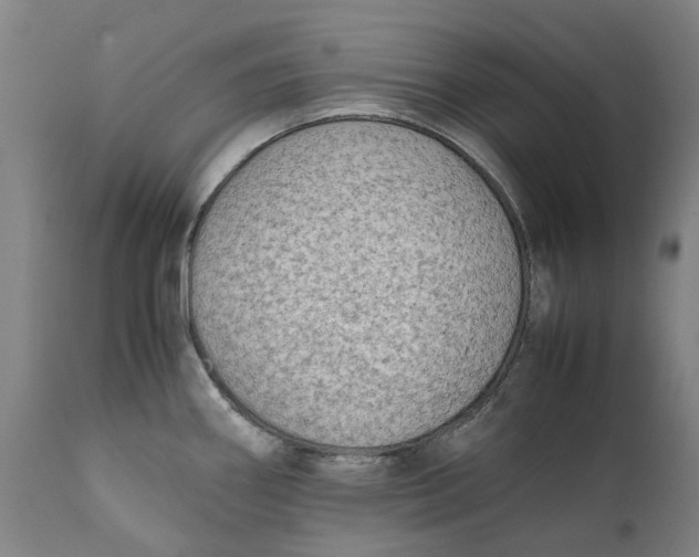 X0000111601290200908061405