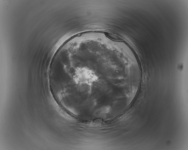 X0000111601291200908061405