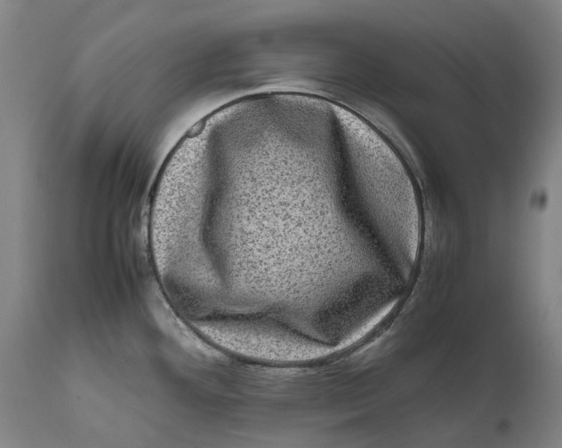 X0000111601292200908061405