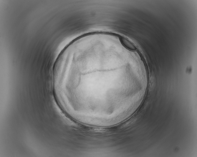 X0000111601295200908061405