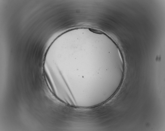 X0000111601296200908061405