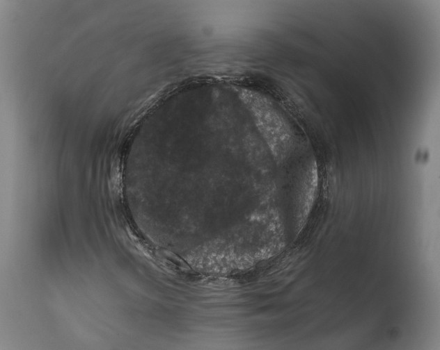 X0000111601298200908061404