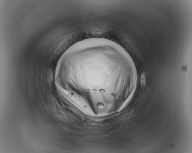 X0000111601299200908061404