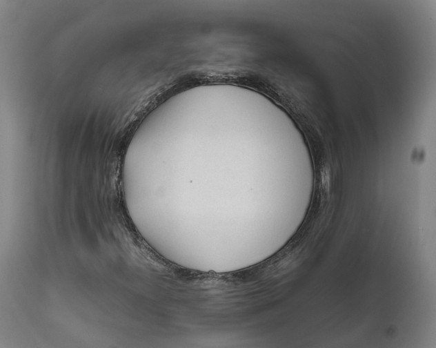 X0000111601300200908061404
