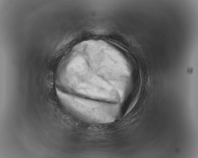 X0000111601301200908061404