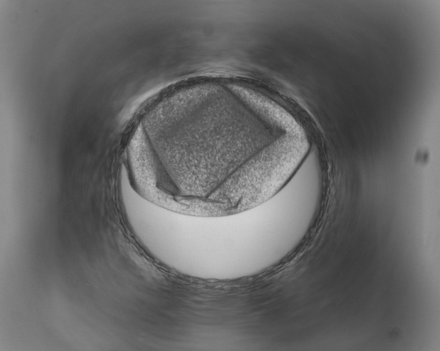 X0000111601304200908061404