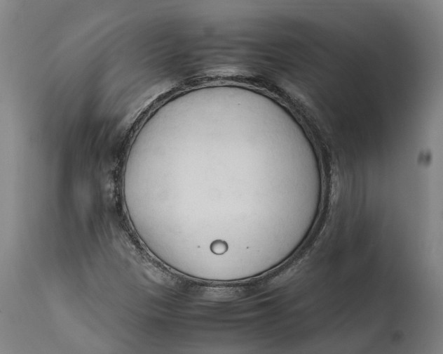 X0000111601305200908061404
