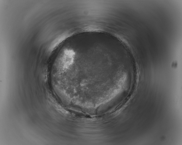 X0000111601306200908061404