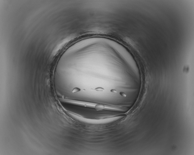 X0000111601307200908061404