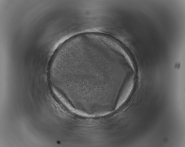 X0000111601308200908061404