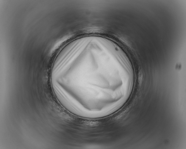 X0000111601309200908061404