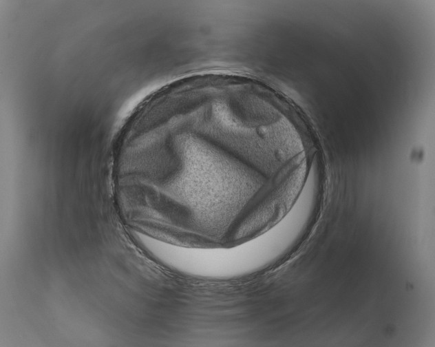 X0000111601310200908061404