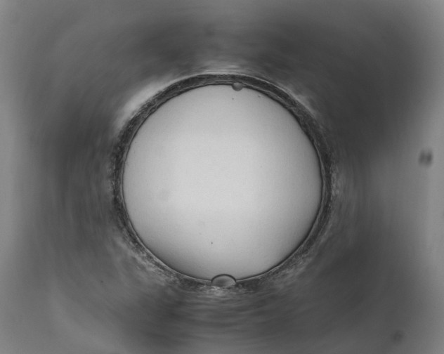 X0000111601311200908061404