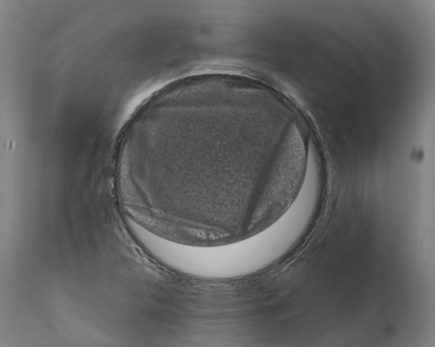 X0000111601312200908061405