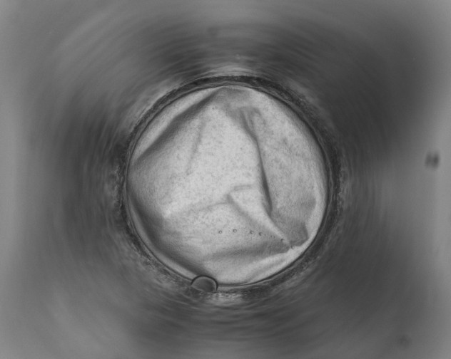 X0000111601313200908061405