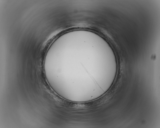 X0000111601315200908061405