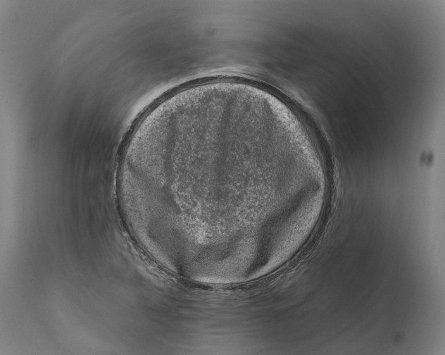 X0000111601316200908061405
