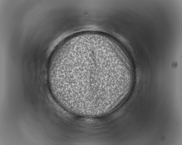 X0000111601318200908061405