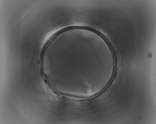 X0000111601319200908061405