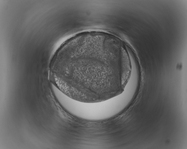 X0000111601320200908061405