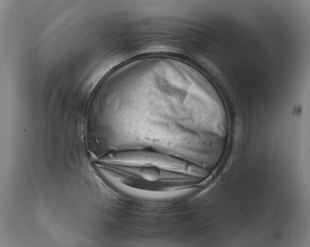X0000111601321200908061405