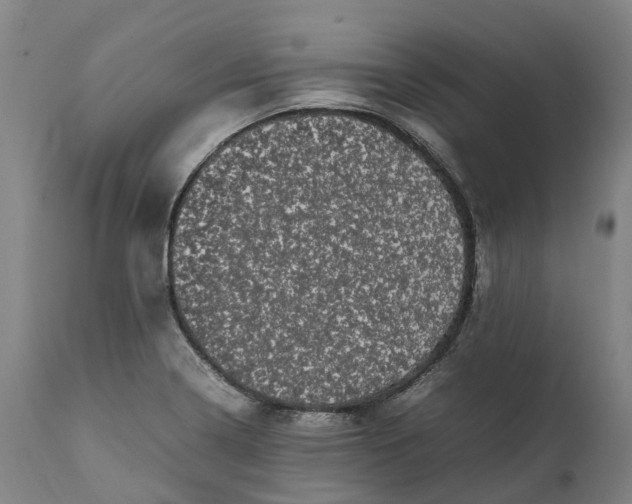 X0000111601322200908061405