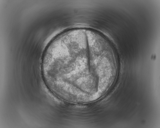 X0000111601325200908061405