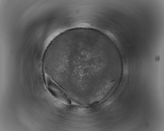 X0000111601326200908061405