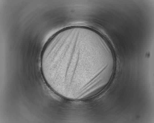 X0000111601328200908061405