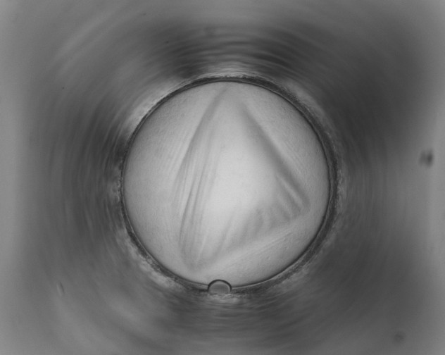 X0000111601329200908061405