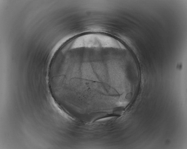 X0000111601331200908061405