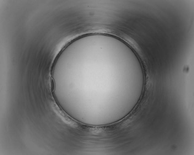 X0000111601332200908061405