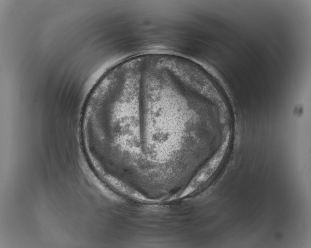 X0000111601333200908061405